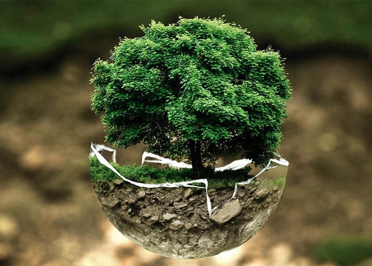 Eco, η Ευρωπάκ & το περιβάλλον