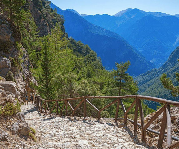 EXECUTIVE AIRPORT TRANSFERS: Φωτογραφίες & Βίντεο