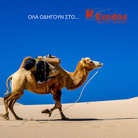 EXODOS TRAVEL & CONGRESS: Φωτογραφίες & Βίντεο