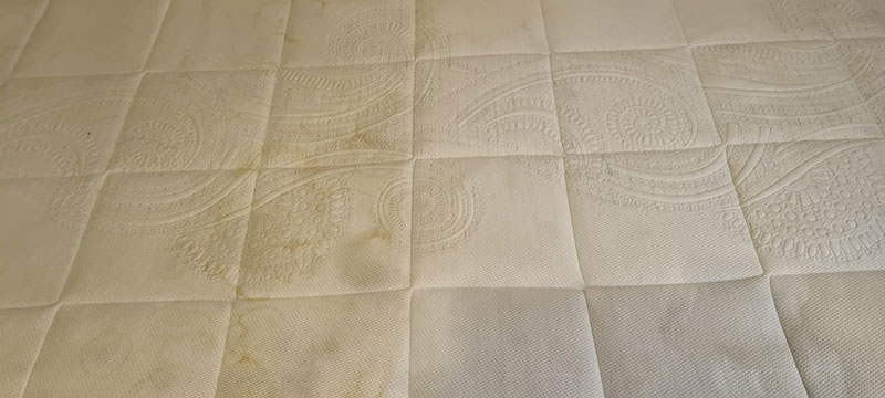 EXPRESS CLEANING CARPETS: Φωτογραφίες & Βίντεο