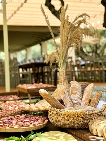 FAKALOS CATERING: Φωτογραφίες & Βίντεο