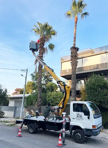FBL LIFT: Φωτογραφίες & Βίντεο