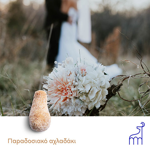 FILEMA RODION: Φωτογραφίες & Βίντεο
