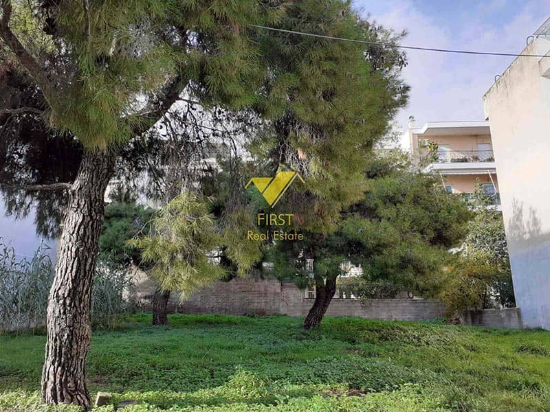 FIRST REAL ESTATE: Φωτογραφίες & Βίντεο