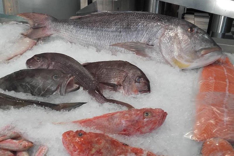 FISH IN THE DISH: Φωτογραφίες & Βίντεο