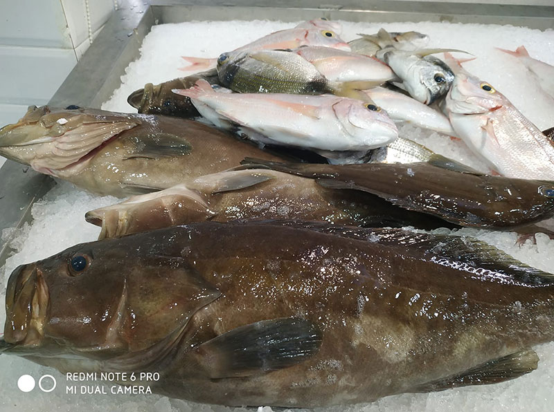 FISH IN THE DISH: Φωτογραφίες & Βίντεο