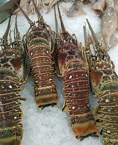 FISH IN THE DISH: Φωτογραφίες & Βίντεο