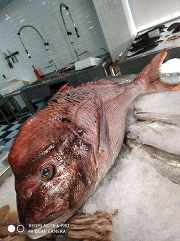 FISH IN THE DISH: Φωτογραφίες & Βίντεο