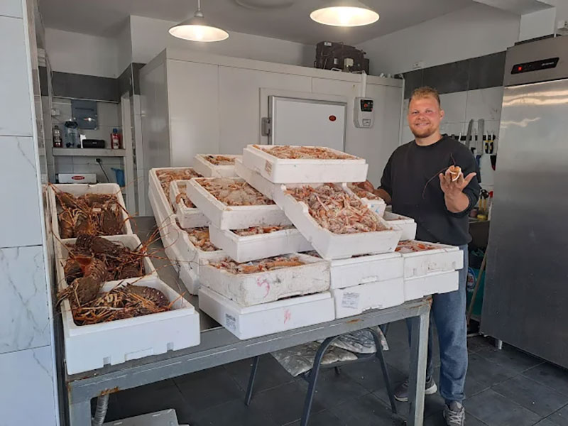 FISH MARKET SKIATHOS - ΤΣΙΑΝΤΟΣ ΓΕΩΡΓΙΟΣ: Φωτογραφίες & Βίντεο