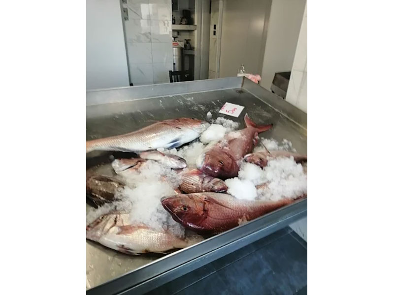 FISH MARKET SKIATHOS - ΤΣΙΑΝΤΟΣ ΓΕΩΡΓΙΟΣ: Φωτογραφίες & Βίντεο