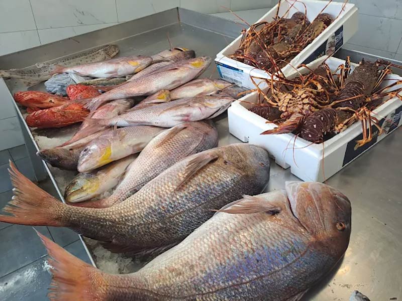 FISH MARKET SKIATHOS - ΤΣΙΑΝΤΟΣ ΓΕΩΡΓΙΟΣ: Φωτογραφίες & Βίντεο