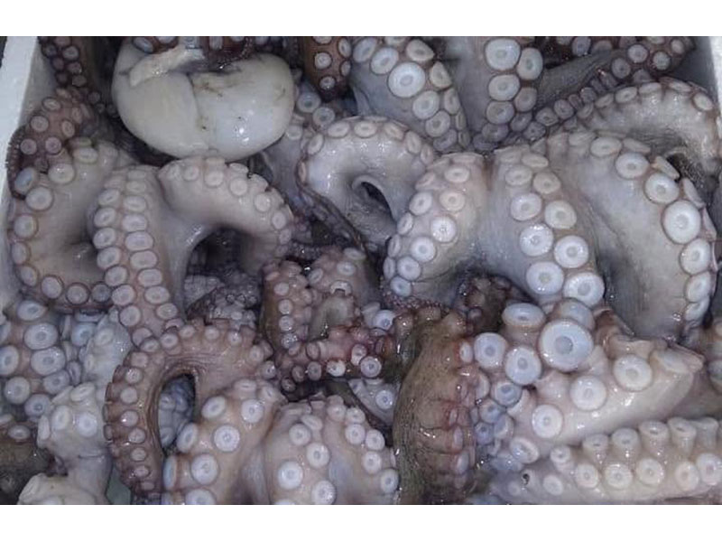 FISH MARKET SKIATHOS - ΤΣΙΑΝΤΟΣ ΓΕΩΡΓΙΟΣ: Φωτογραφίες & Βίντεο