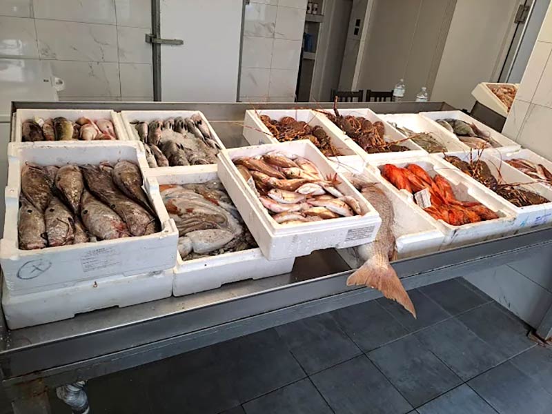 FISH MARKET SKIATHOS - ΤΣΙΑΝΤΟΣ ΓΕΩΡΓΙΟΣ: Φωτογραφίες & Βίντεο