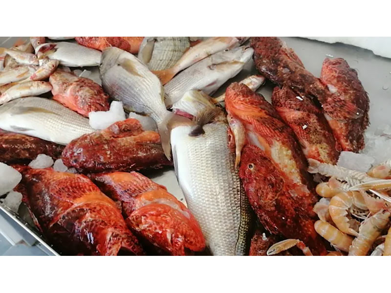 FISH MARKET SKIATHOS - ΤΣΙΑΝΤΟΣ ΓΕΩΡΓΙΟΣ: Φωτογραφίες & Βίντεο