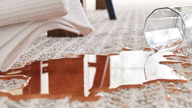 FLOOR & CARPET ACCESSORIES: Φωτογραφίες & Βίντεο