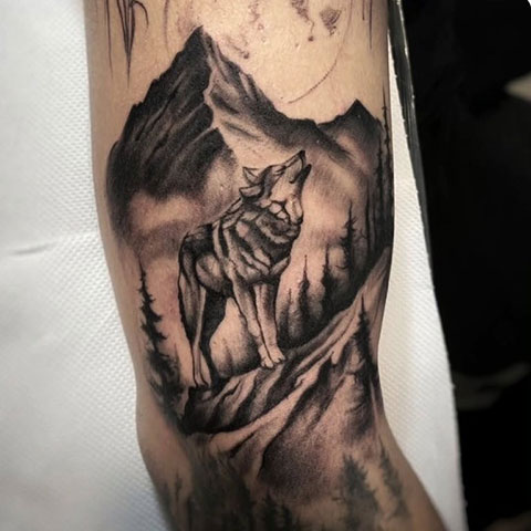 FLY INK DOG TATTOO: Φωτογραφίες & Βίντεο