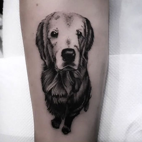 FLY INK DOG TATTOO: Φωτογραφίες & Βίντεο