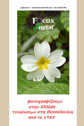 FOCUS DIGITAL ΦΩΤΟΓΡΑΦΙΑ: Φωτογραφίες & Βίντεο