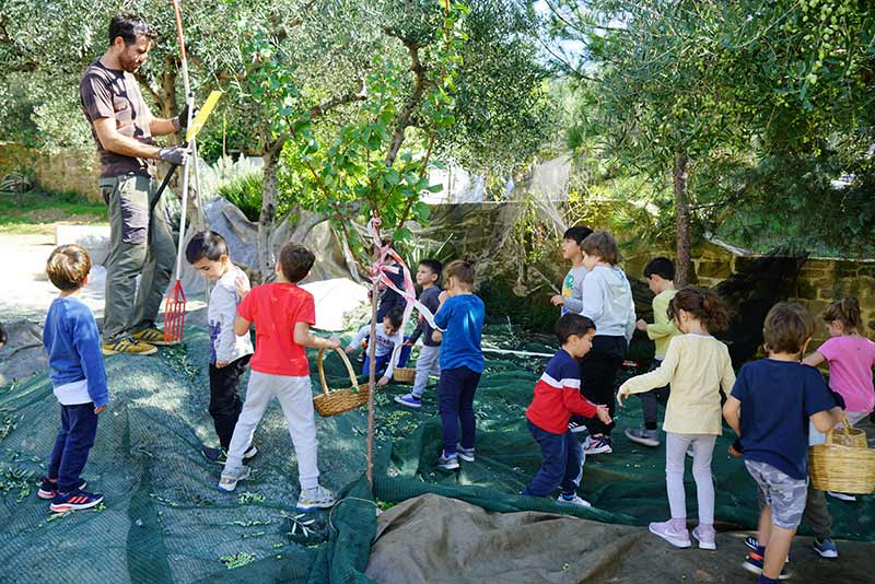 FOLIA TOU PAIDIOU: Φωτογραφίες & Βίντεο