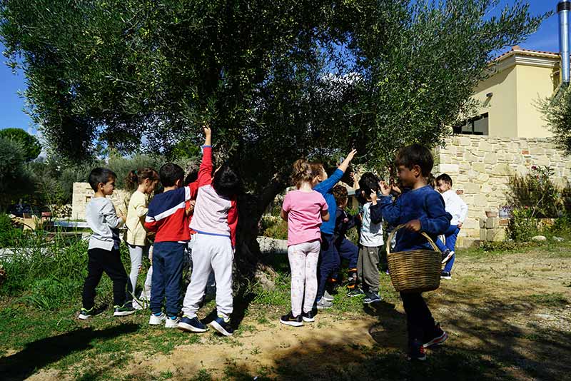 FOLIA TOU PAIDIOU: Φωτογραφίες & Βίντεο
