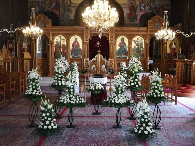 FOTEINOPOULOU - MITRELOS: Φωτογραφίες & Βίντεο