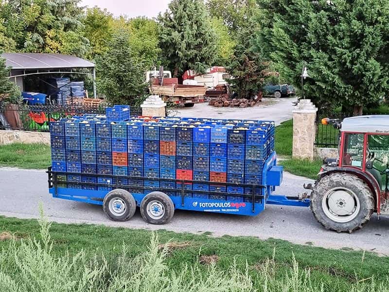 FOTOPOULOS AGRO: Φωτογραφίες & Βίντεο