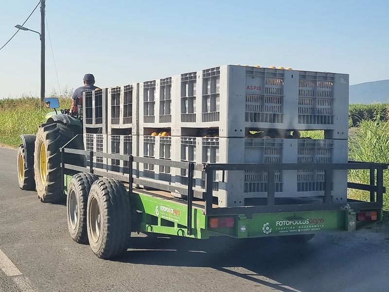 FOTOPOULOS AGRO: Φωτογραφίες & Βίντεο