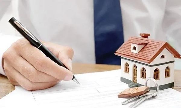 ΦΡΑΝΤΖΗ ΚΑΛΛΙΟΠΗ: Φωτογραφίες & Βίντεο