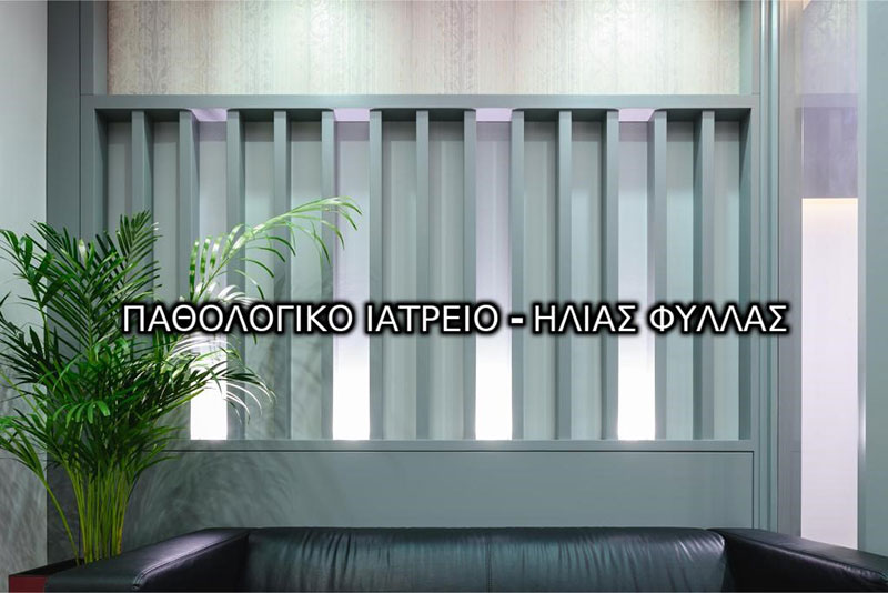 ΦΥΛΛΑΣ ΗΛΙΑΣ: Φωτογραφίες & Βίντεο