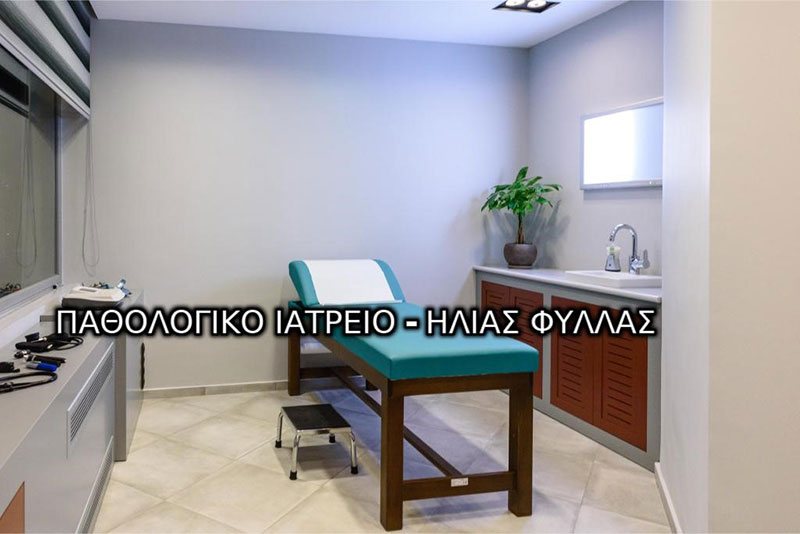 ΦΥΛΛΑΣ ΗΛΙΑΣ: Φωτογραφίες & Βίντεο