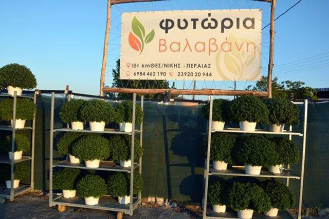 FYTORIA VALAVANIS: Φωτογραφίες & Βίντεο