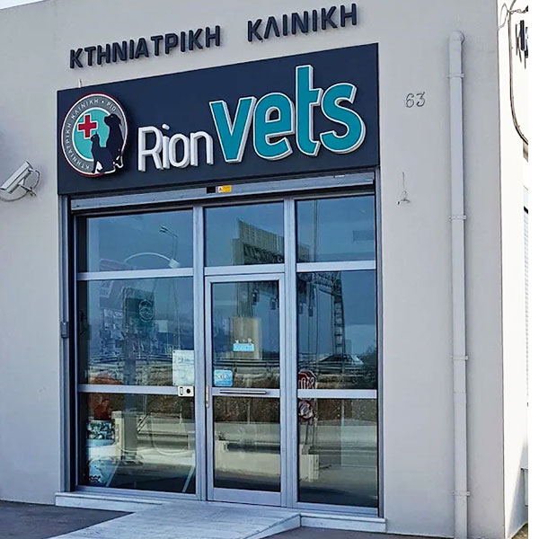 GALANIS MARIOS - TOURLOUPI MARIA - RION VETS: Φωτογραφίες & Βίντεο