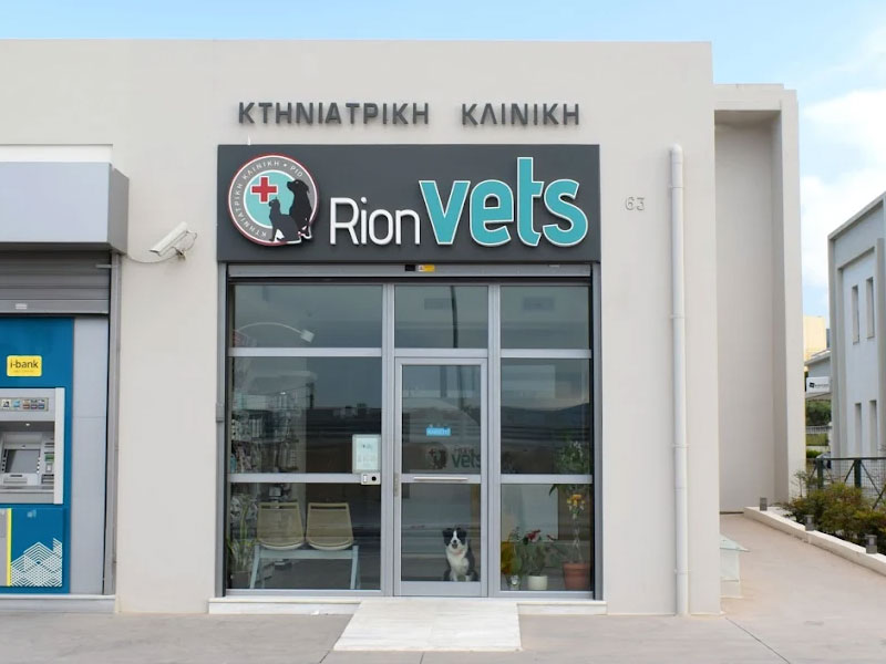 GALANIS MARIOS - TOURLOUPI MARIA - RION VETS: Φωτογραφίες & Βίντεο