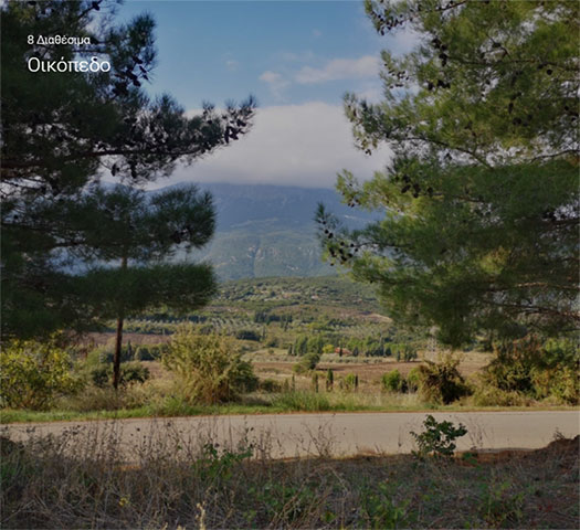 GALAXY REAL ESTATE - ΜΑΘΙΑΝΑΚΗ ΕΜΜΑΝΟΥΕΛΑ & ΤΣΑΠΑΔΙΚΟΣ ΕΥΡΙΠΙΔΗΣ: Φωτογραφίες & Βίντεο