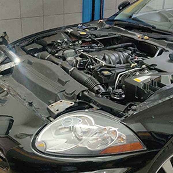 GARAGE SPECIALISTS: Φωτογραφίες & Βίντεο