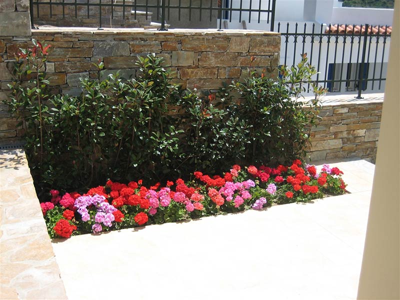 GARDENVIEW - VISVIKIS A.: Φωτογραφίες & Βίντεο