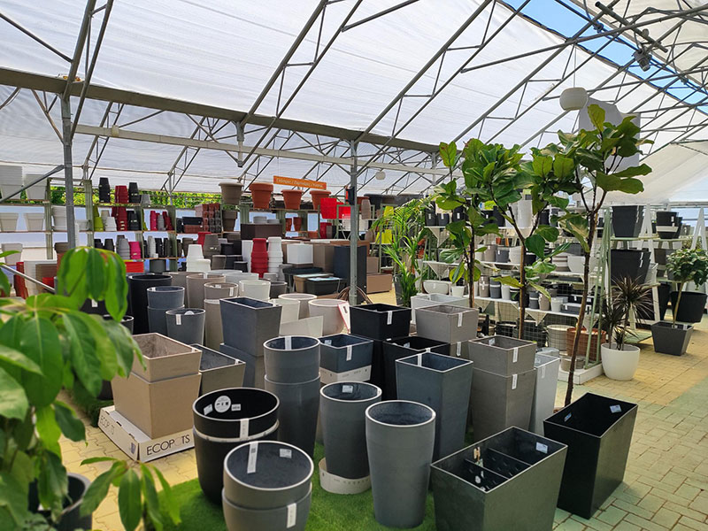 GARDEN CENTER VASILEIADI: Φωτογραφίες & Βίντεο