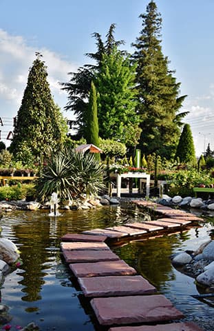 GARDEN CENTER VASILEIADI: Φωτογραφίες & Βίντεο