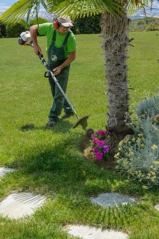 GARDEN CENTER VASILEIADI: Φωτογραφίες & Βίντεο
