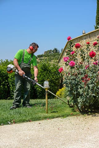 GARDEN CENTER VASILEIADI: Φωτογραφίες & Βίντεο