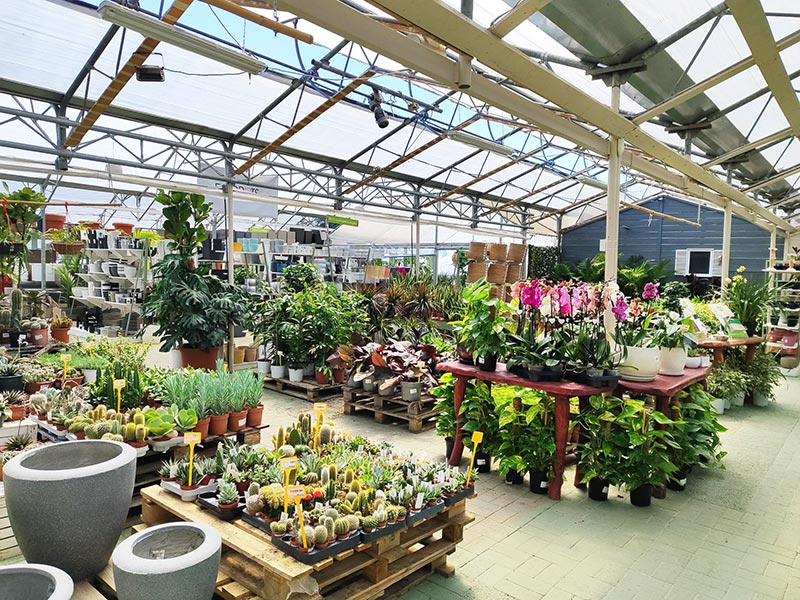 GARDEN CENTER VASILEIADI: Φωτογραφίες & Βίντεο