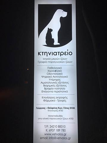 ΓΑΤΟΣ ΓΕΩΡΓΙΟΣ ΘΕΟΦΙΛΟΣ: Φωτογραφίες & Βίντεο
