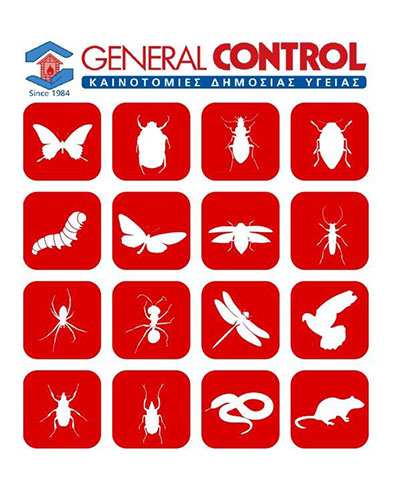 GENERAL CONTROL: Φωτογραφίες & Βίντεο
