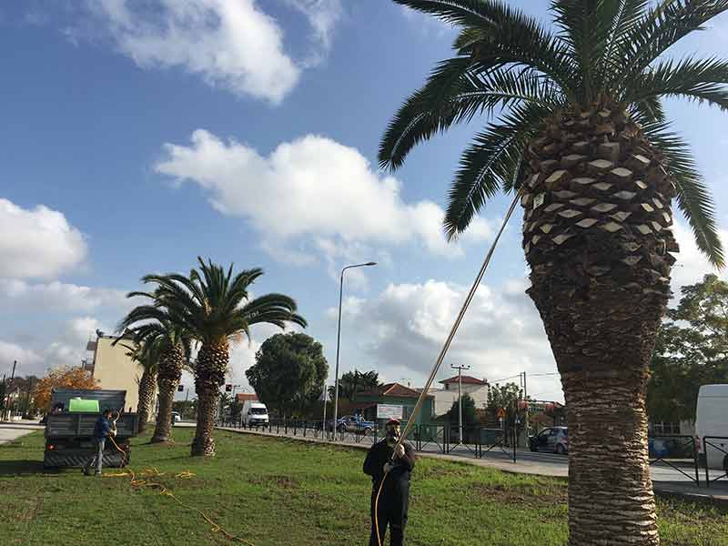 ΓΕΝΙΚΗ ΑΠΟΛΥΜΑΝΤΙΚΗ - ΜΠΛΟΥΚΟΣ ΕΥΑΓΓΕΛΟΣ: Φωτογραφίες & Βίντεο
