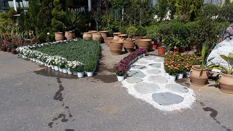 ΓΕΩΠΟΝΙΚΗ ΦΡΑΓΚΑΚΗΣ: Φωτογραφίες & Βίντεο