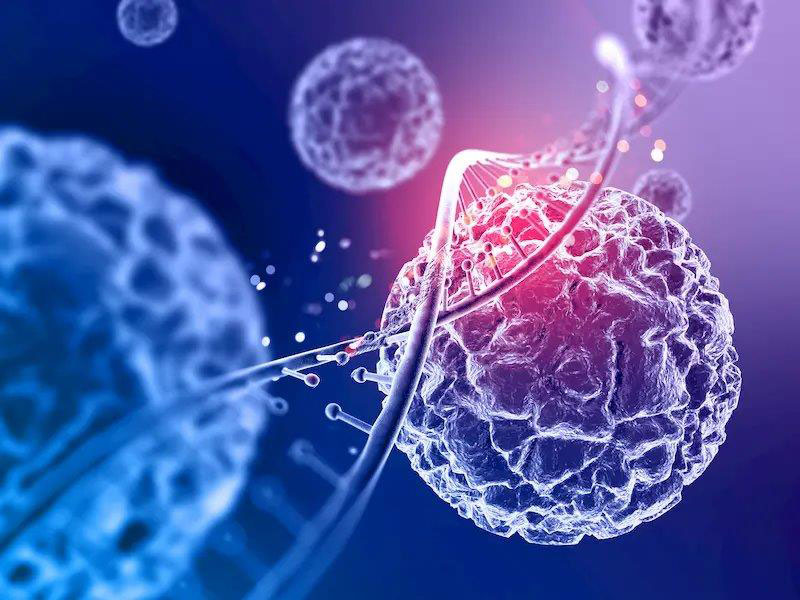 ΓΕΩΡΓΟΥΣΗΣ ΜΙΛΤΙΑΔΗΣ MD, MSc, PhD: Φωτογραφίες & Βίντεο