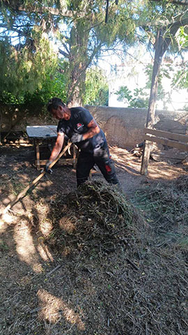 GG LANDCARE: Φωτογραφίες & Βίντεο
