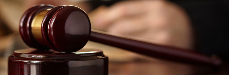 ΓΙΑΝΝΟΠΟΥΛΟΣ ΓΕΩΡΓΙΟΣ: Φωτογραφίες & Βίντεο