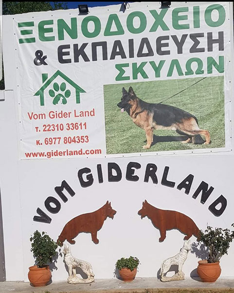 GIDERLAND: Φωτογραφίες & Βίντεο