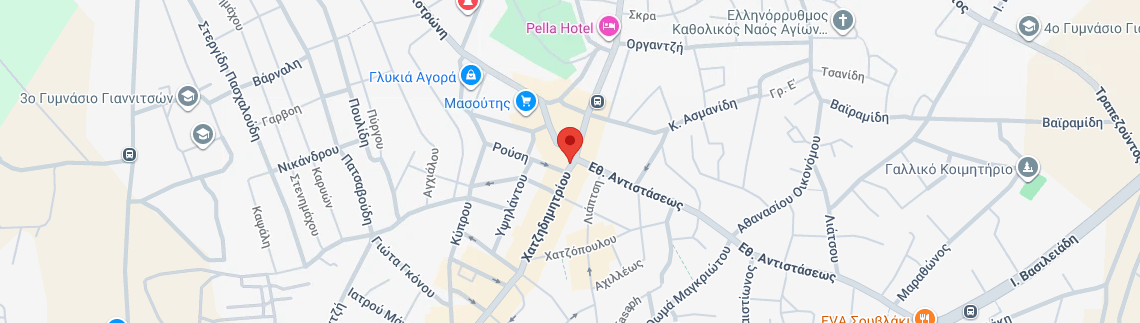 Λογότυπο GKIOULIS FROZEN FOOD